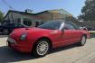 2005 Red /Black Ford Thunderbird Premium (1FAHP60A65Y) with an V8 3.9 Liter engine, Automatic 5 Speed transmission, located at 2304 W. Main St., Boise, ID, 83702, (208) 342-7777, 43.622105, -116.218658 - Photo#18